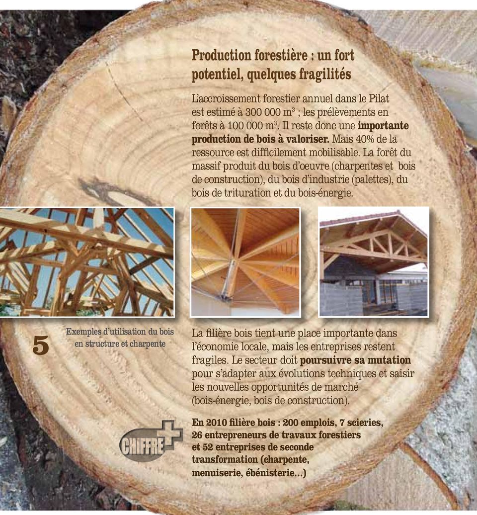 La forêt du massif produit du bois d oeuvre (charpentes et bois de construction), du bois d industrie (palettes), du bois de trituration et du bois-énergie.