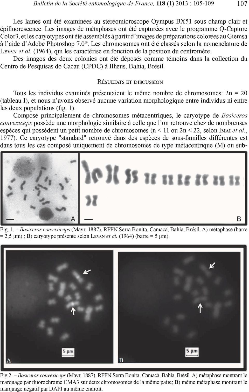 Les chromosomes ont été classés selon la nomenclature de Levan et al. (1964), qui les caractérise en fonction de la position du centromère.