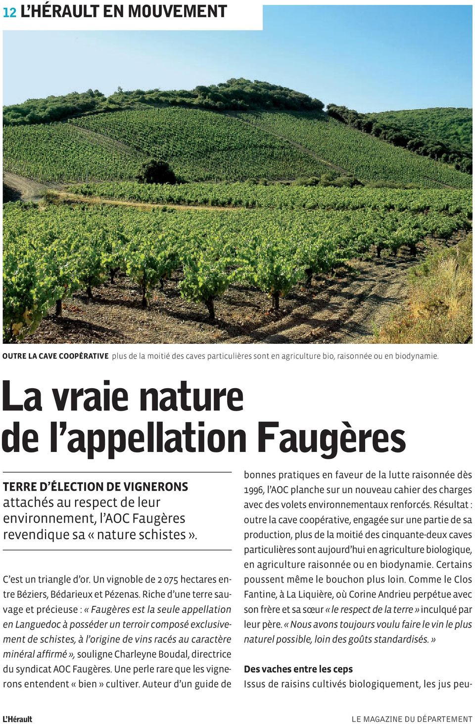 Un vignoble de 2 075 hectares entre Béziers, Bédarieux et Pézenas.