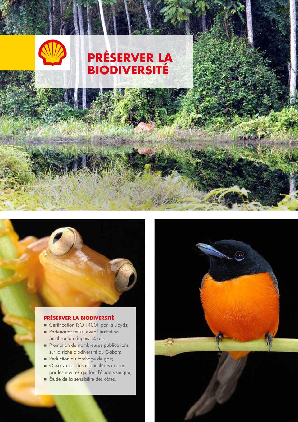 publications sur la riche biodiversité du Gabon; Réduction du torchage de gaz; Observation