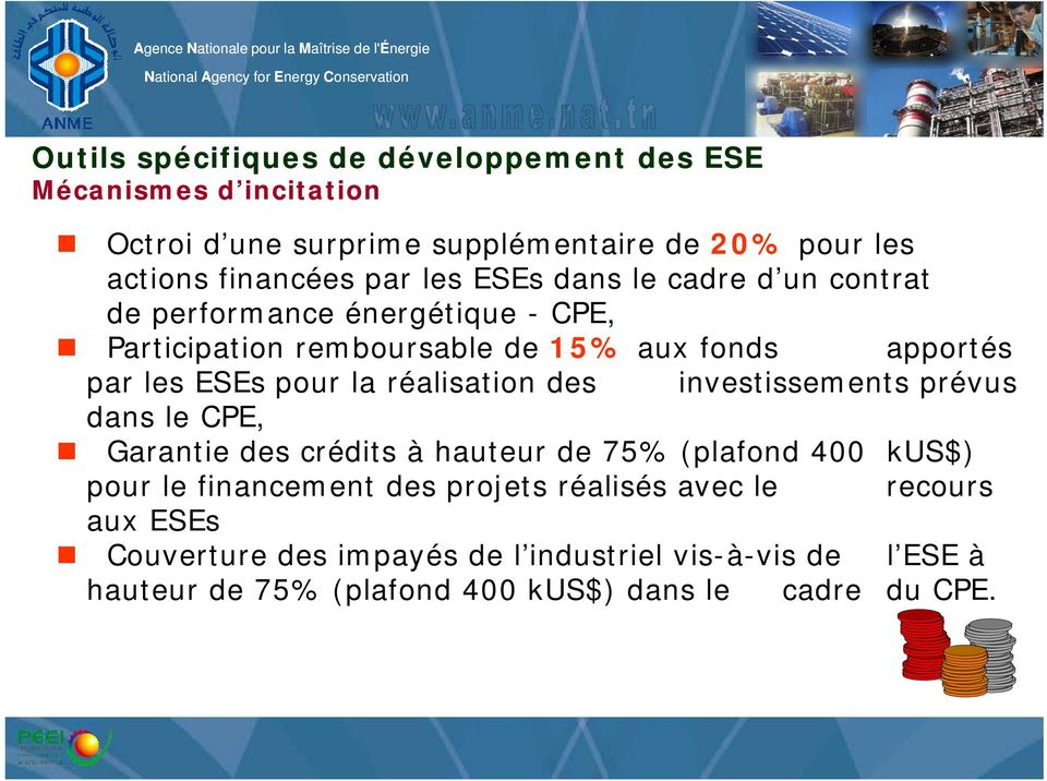 ESEs pour la réalisation des investissements prévus dans le CPE, Garantie des crédits à hauteur de 75% (plafond 400 kus$) pour le financement des