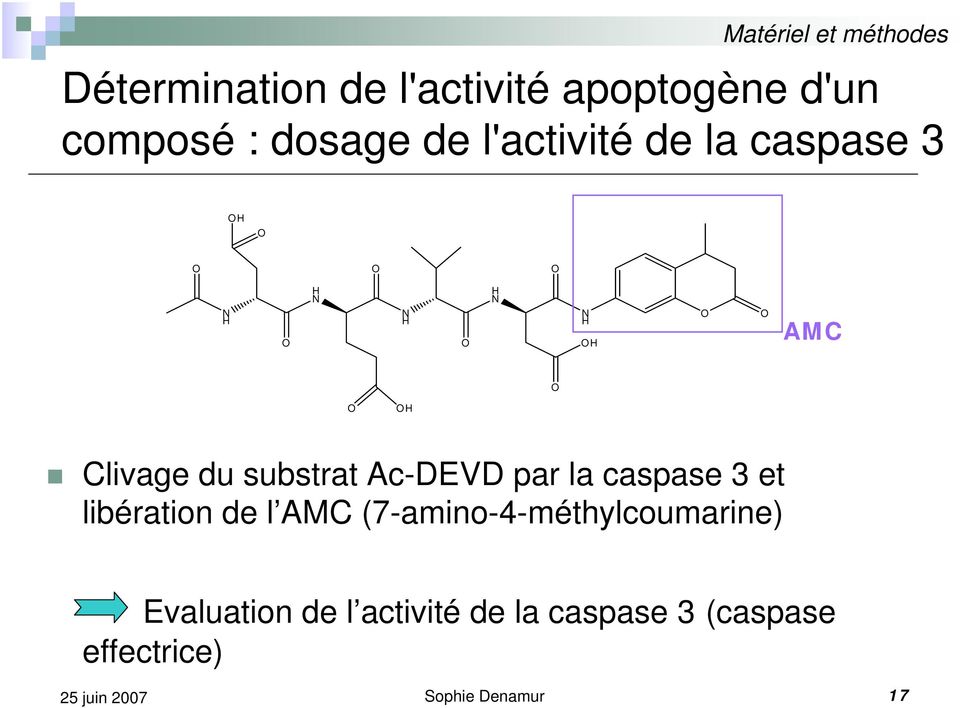 Clivage du substrat Ac-DEVD par la caspase 3 et libération de l AMC