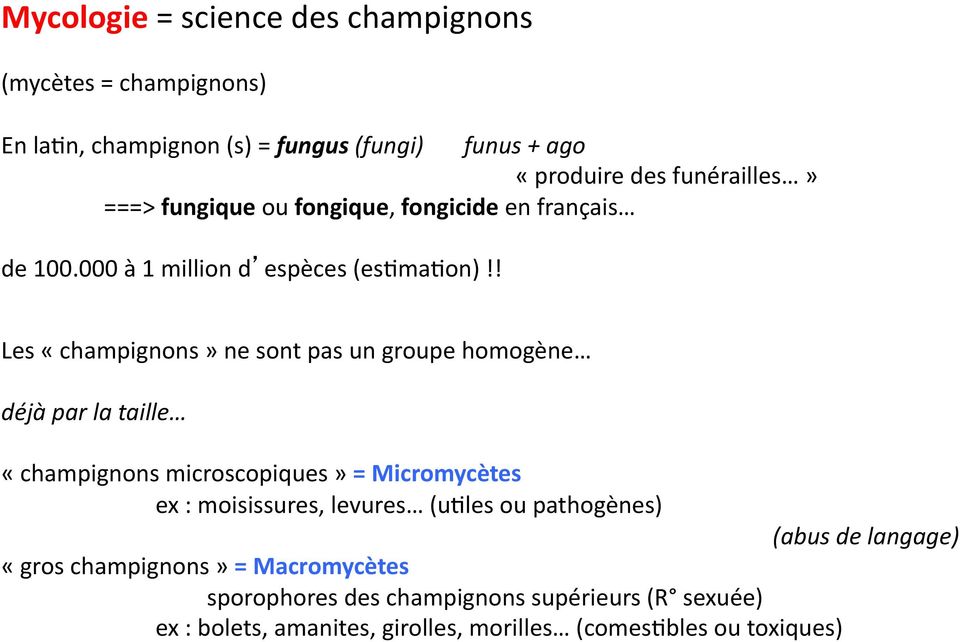 ! Les «champignons» ne sont pas un groupe homogène déjà par la taille «champignons microscopiques» = Micromycètes ex : moisissures, levures