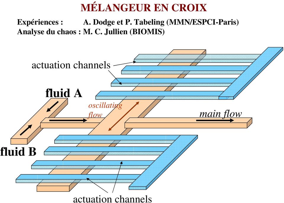 C. Jullien (BIOMIS) actuation channels fluid A