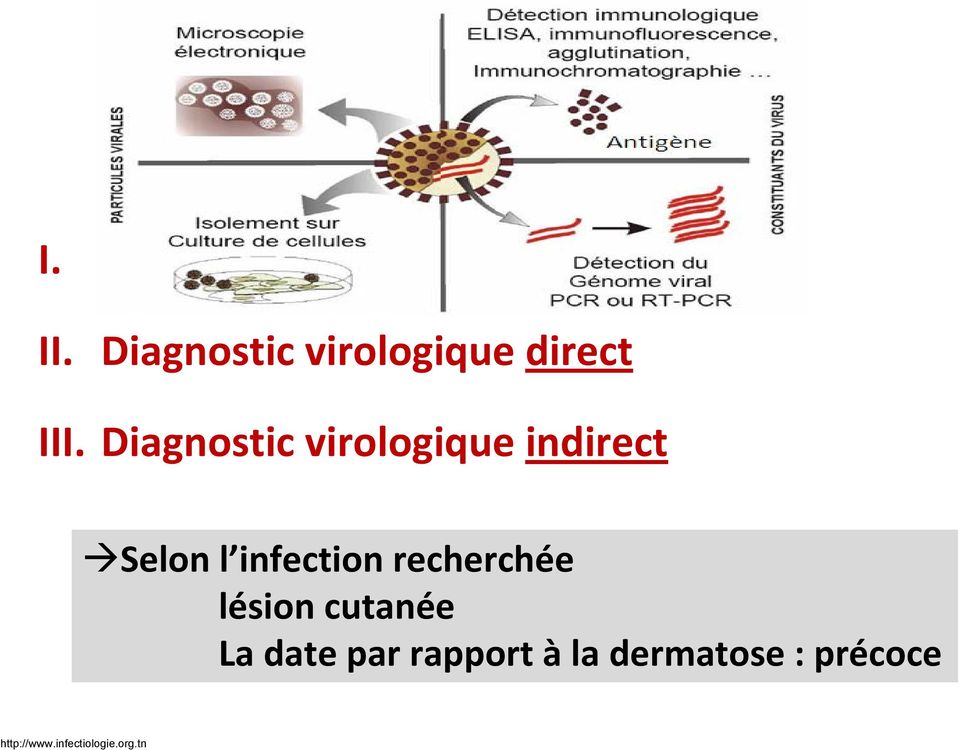Diagnostic virologique direct III.