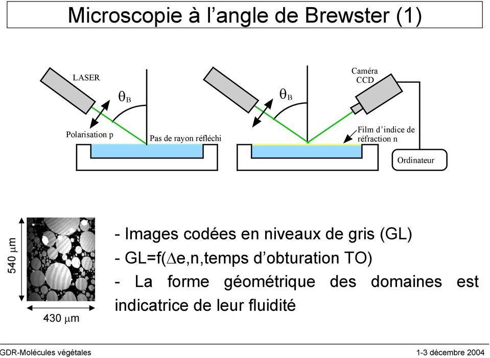 rdinateur 540 µm 430 µm - Images codées en niveaux de gris (GL) -GL=f(