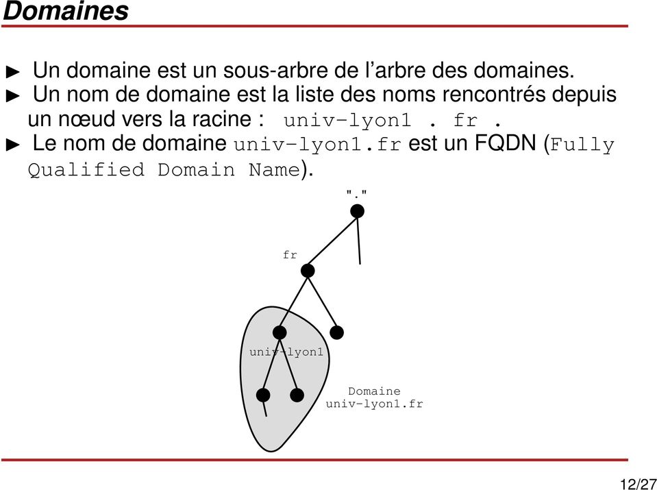 la racine : univ-lyon1. fr. Le nom de domaine univ-lyon1.