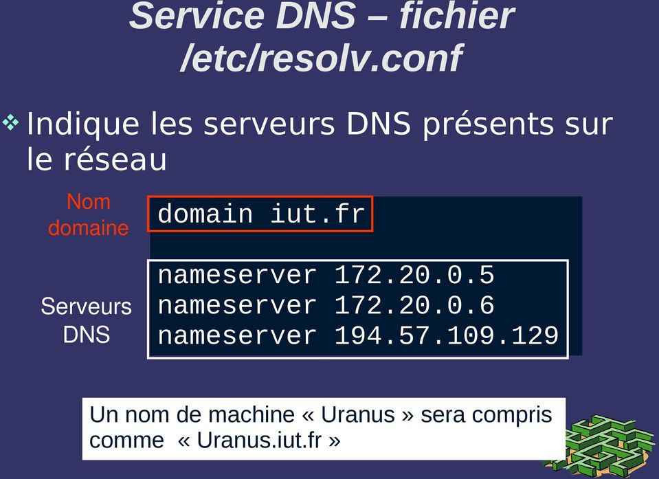 domaine domain iut.fr Serveurs DNS nameserver 172.20.