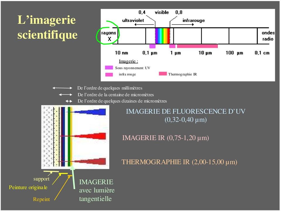 dizaines de micromètres IMAGERIE DE FLUORESCENCE D UV (0,32-0,40 µm) IMAGERIE IR (0,75-1,20 µm)
