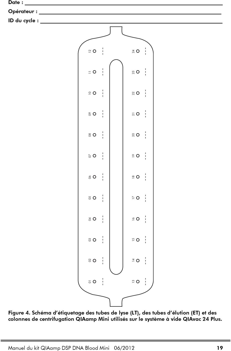 Schéma d étiquetage des tubes de lyse (LT), des tubes d élution (ET) et des