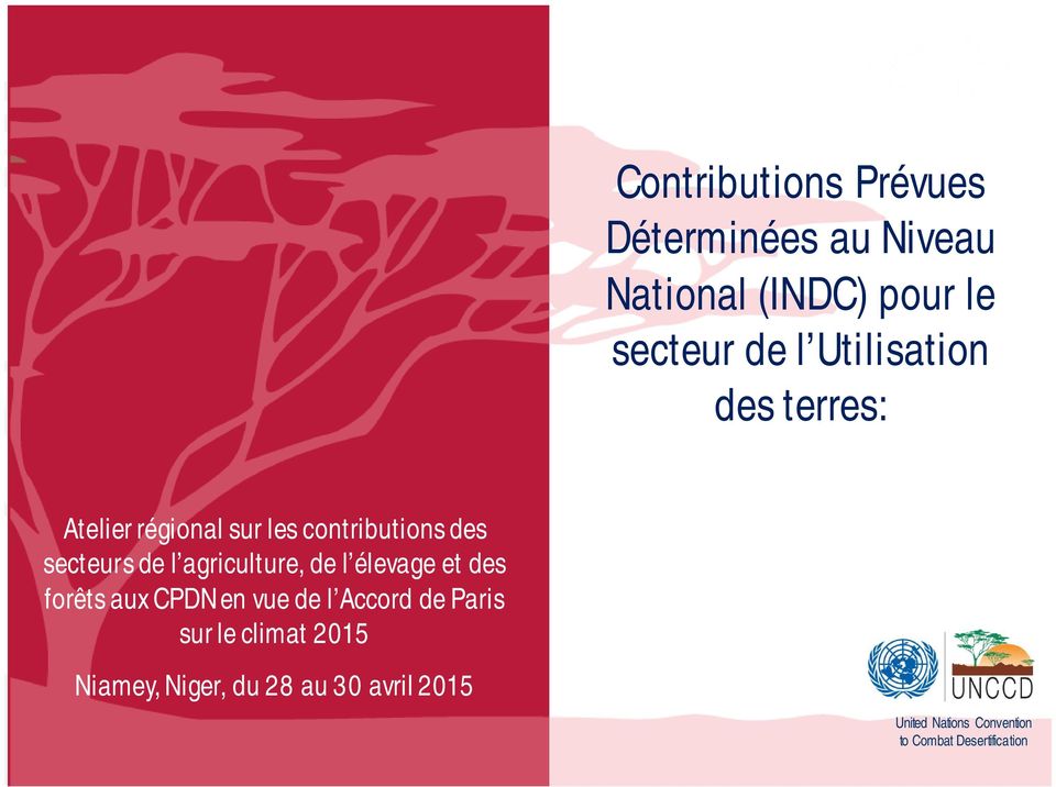 agriculture, de l élevage et des forêts aux CPDN en vue de l Accord de Paris sur le