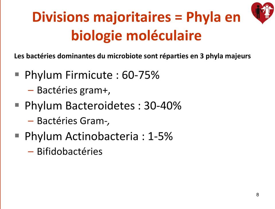 majeurs Phylum Firmicute : 60-75% Bactéries gram+, Phylum