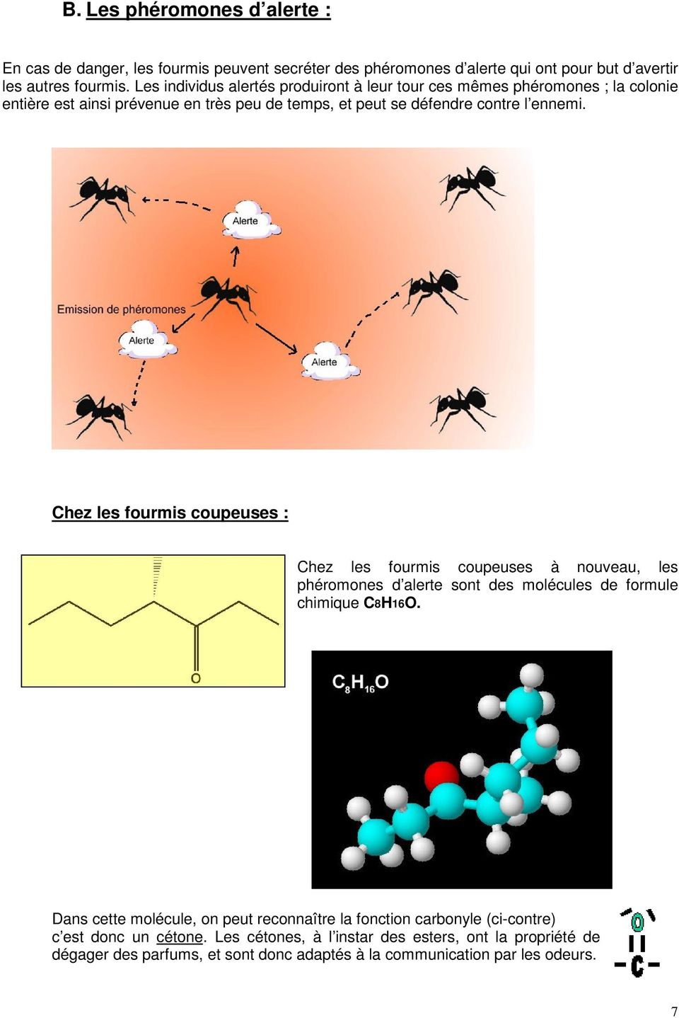 Chez les fourmis coupeuses : Chez les fourmis coupeuses à nouveau, les phéromones d alerte sont des molécules de formule chimique C8H16O.