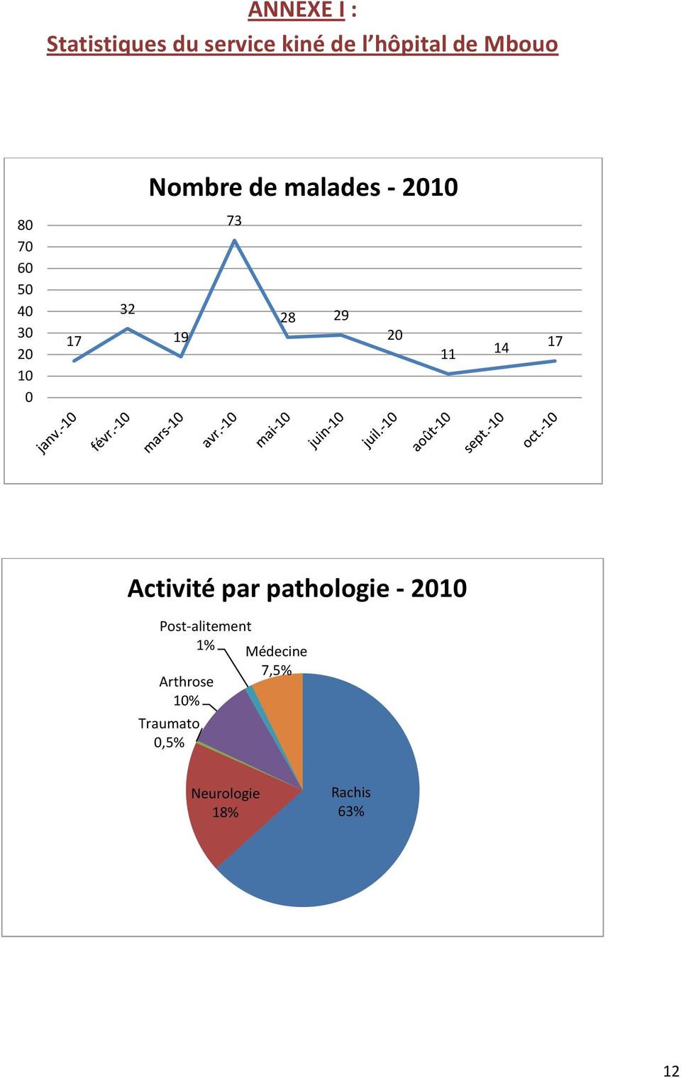 29 20 11 14 17 Activité par pathologie - 2010 Post-alitement 1%