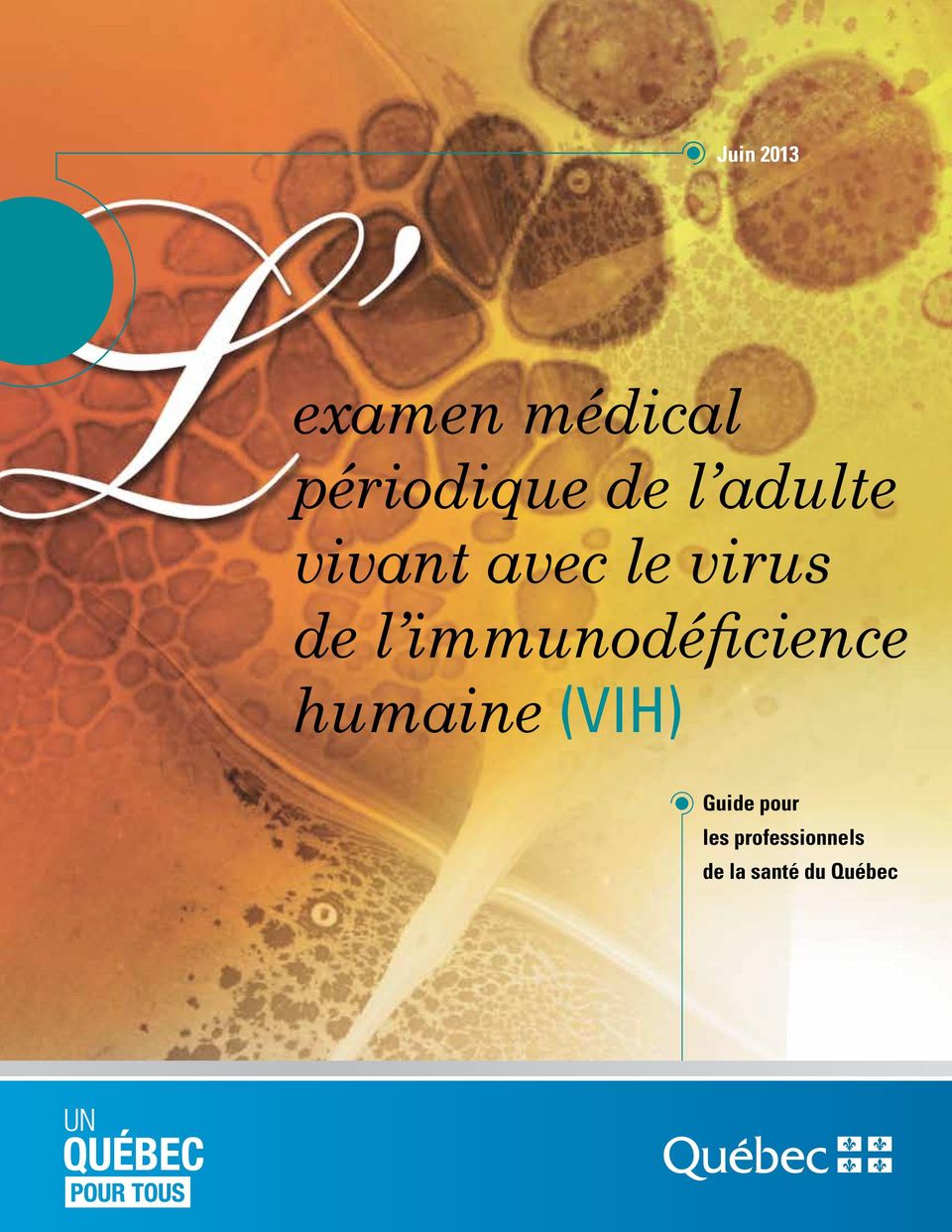 immunodéficience humaine (VIH) Guide