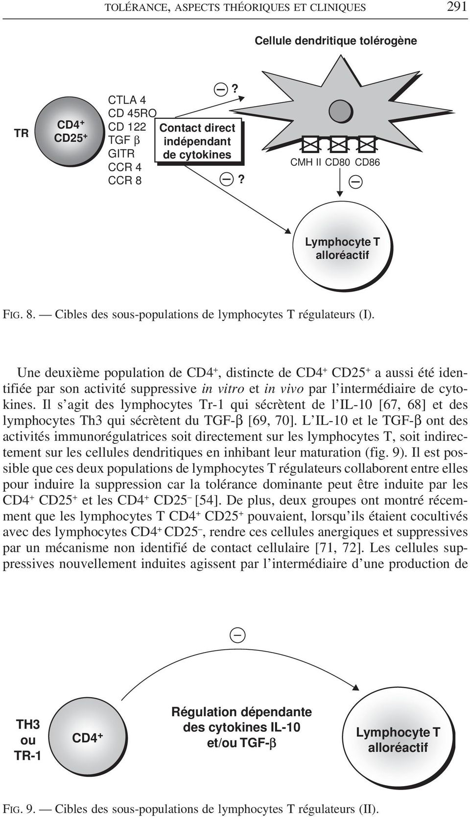 Une deuxième population de CD4 +, distincte de CD4 + CD25 + a aussi été identifiée par son activité suppressive in vitro et in vivo par l intermédiaire de cytokines.