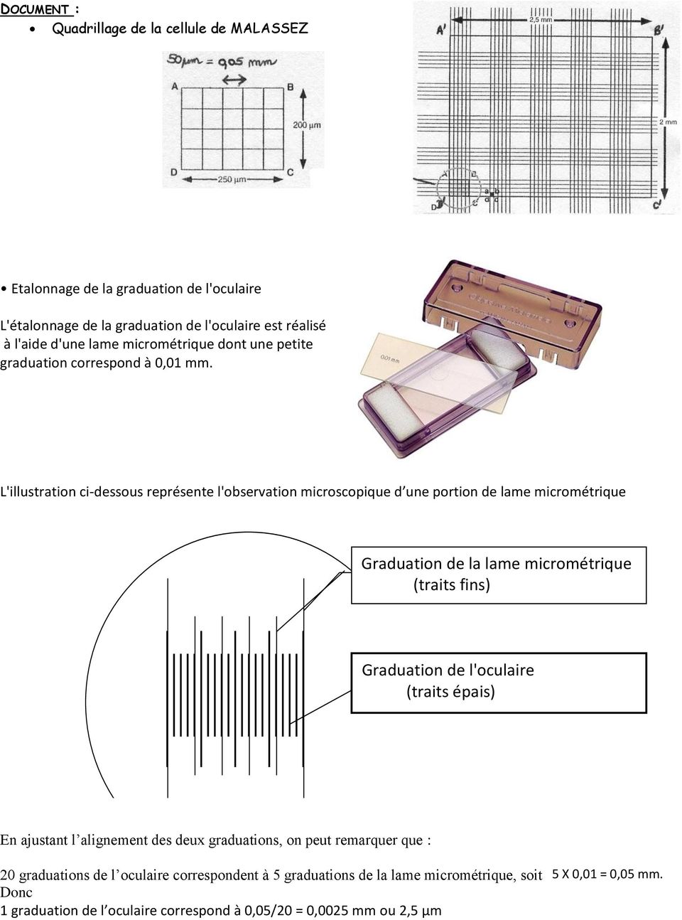 L'illustration ci-dessous représente l'observation microscopique d une portion de lame micrométrique Graduation de la lame micrométrique graduation de la lame (traits micrométrique fins)