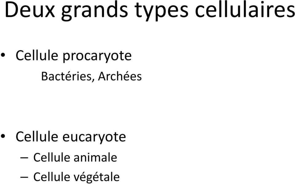 Archées Cellule eucaryote