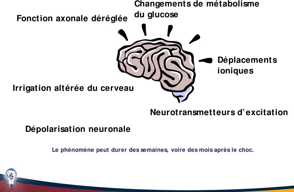 Neurotransmetteurs d excitation Dépolarisation neuronale Le