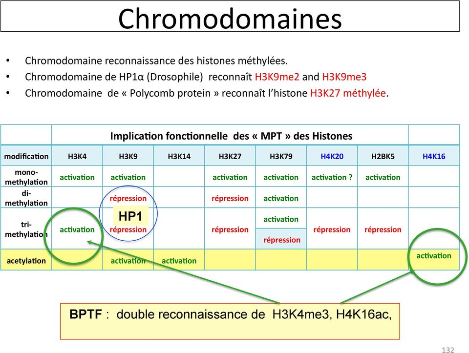 Implica@on fonc@onnelle des «MPT» des Histones modifica@on H3K4 H3K9 H3K14 H3K27 H3K79 H4K20 H2BK5 H4K16 mono- methyla@on di- methyla@on tri- methyla@on