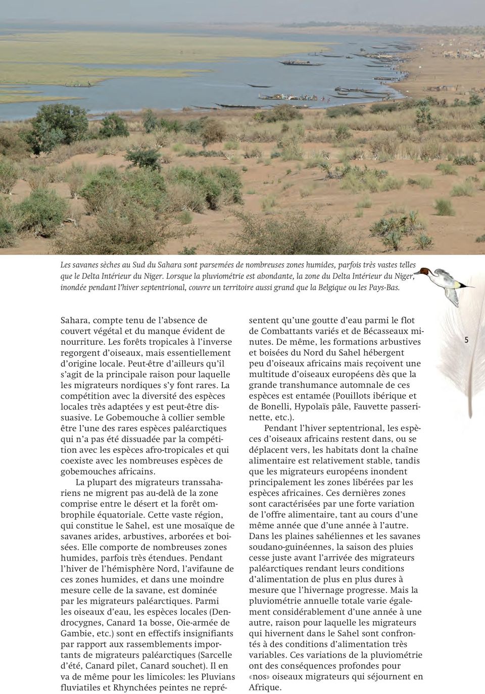 Sahara, compte tenu de l absence de couvert végétal et du manque évident de nourriture. Les forêts tropicales à l inverse regorgent d oiseaux, mais essentiellement d origine locale.
