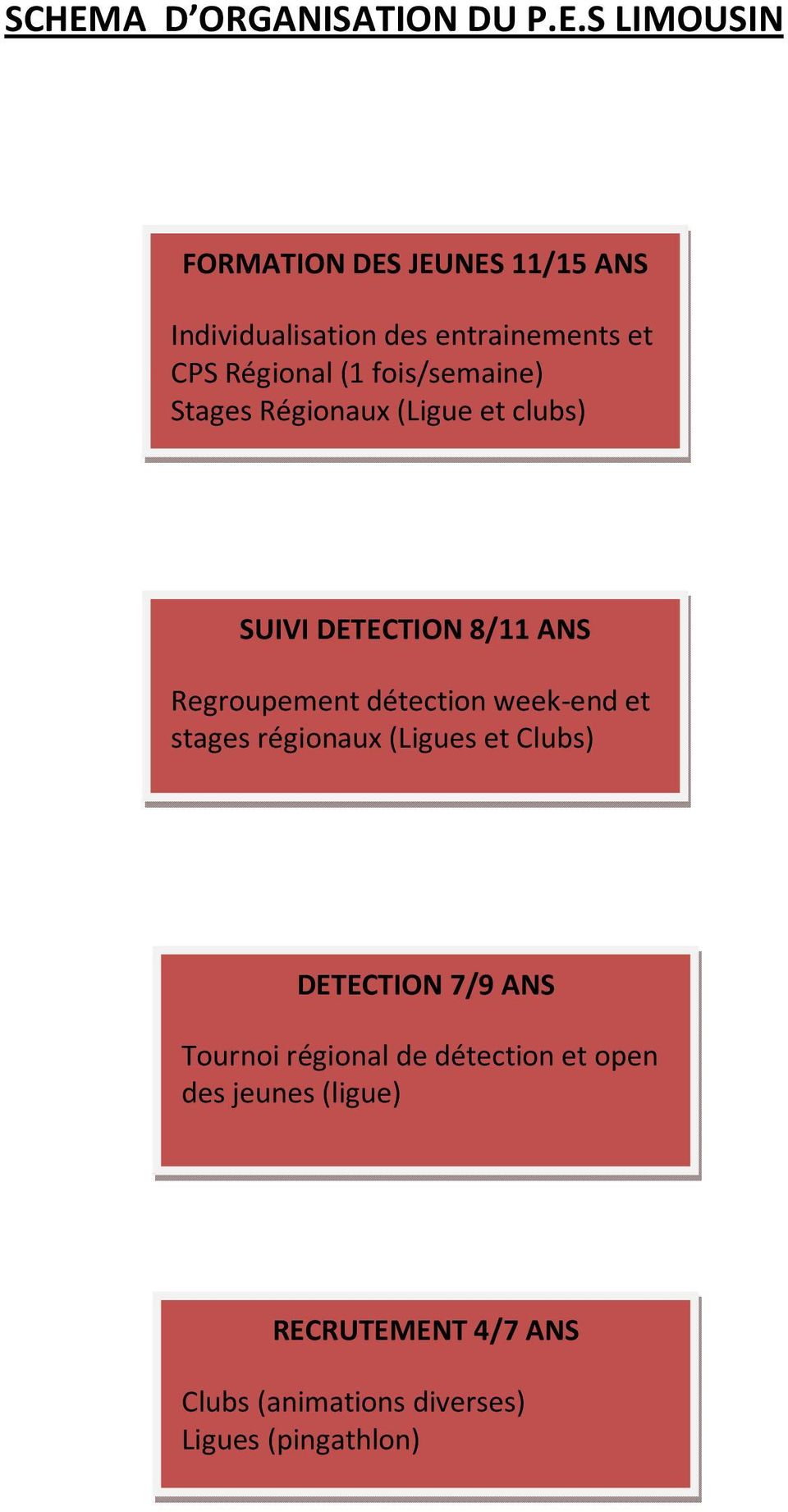 ANS Regroupement détection week-end et stages régionaux (Ligues et Clubs) DETECTION 7/9 ANS Tournoi