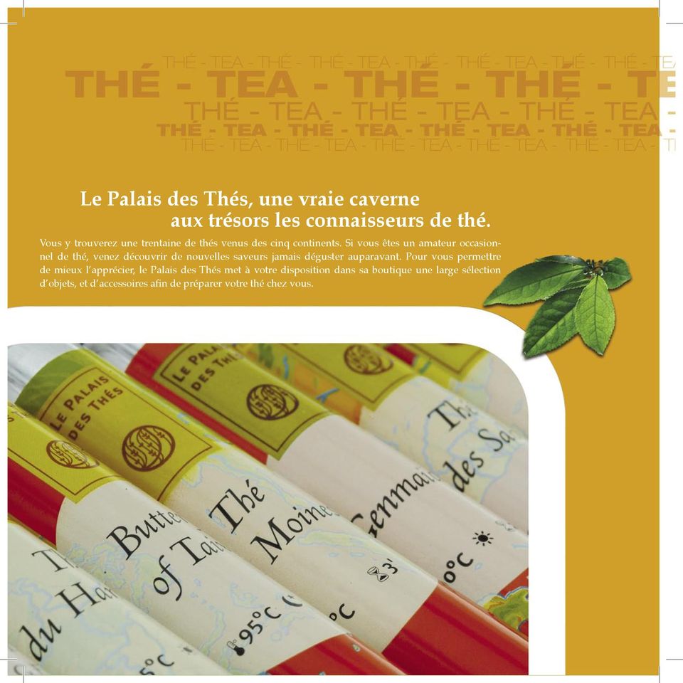 Si vous êtes un amateur occasionnel de thé, venez découvrir de nouvelles saveurs jamais déguster auparavant.
