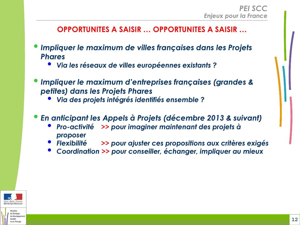 Impliquer le maximum d entreprises françaises (grandes & petites) dans les Projets Phares Via des projets intégrés identifiés ensemble?