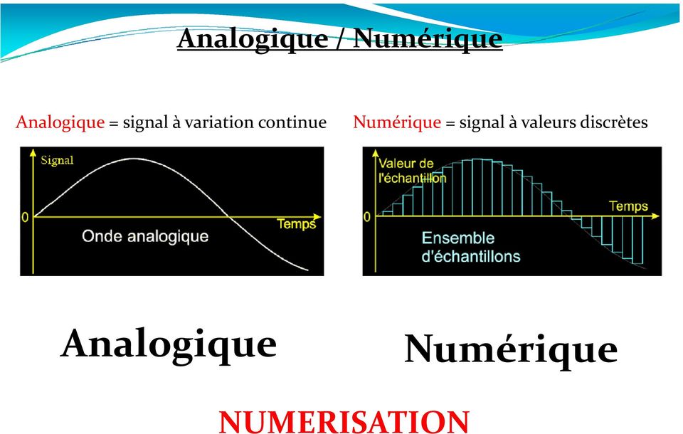 Numérique = signal à valeurs