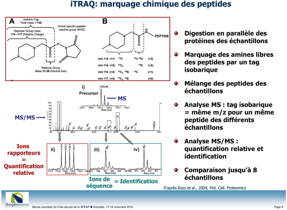: tag isobarique = même m/z pour un même peptide des différents échantillons Analyse MS/MS : quantification relative et identification Comparaison