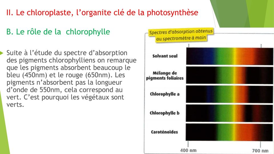 chlorophylliens on remarque que les pigments absorbent beaucoup le bleu (450nm) et le