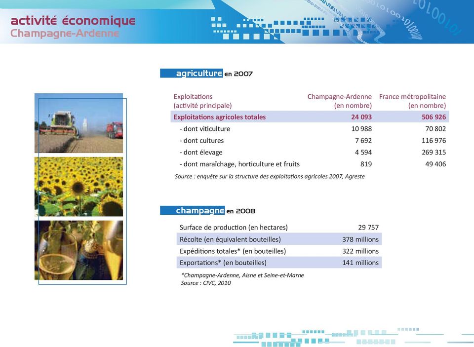 Source : enquête sur la structure des exploitations agricoles 2007, Agreste champagne en 2008 Surface de production (en hectares) 29 757 Récolte (en équivalent