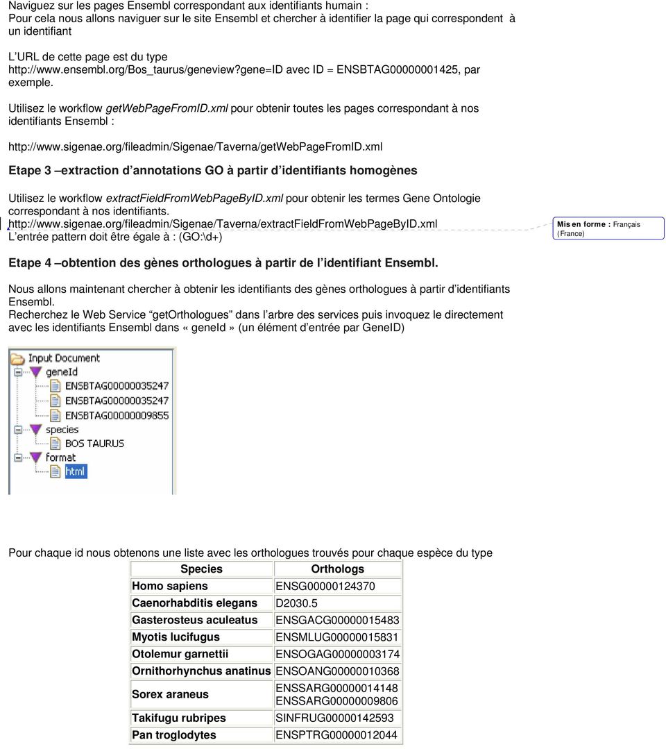 xml pour obtenir toutes les pages correspondant à nos identifiants Ensembl : http://www.sigenae.org/fileadmin/sigenae/taverna/getwebpagefromid.