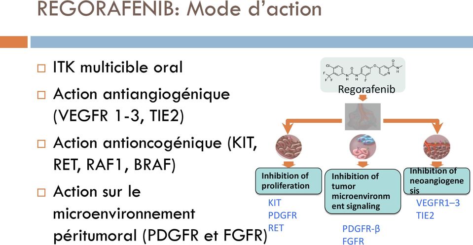 péritumoral (PDGFR et FGFR) Inhibition of proliferation KIT PDGFR RET Regorafenib