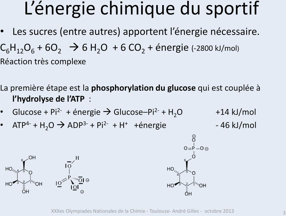 phosphorylation du glucose qui est couplée à l hydrolyse de l ATP : Glucose + Pi 2- + énergie Glucose Pi 2- + H 2