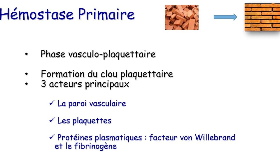 ü La paroi vasculaire ü Les plaquettes ü Protéines