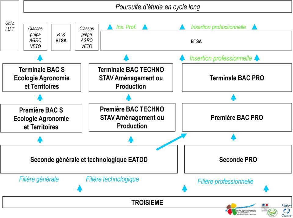 Production Insertion professionnelle Terminale BAC PRO Première BAC S Ecologie Agronomie et Territoires Première BAC TECHNO STAV