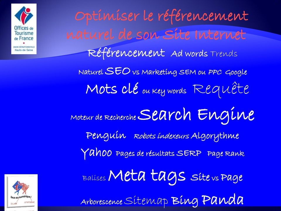 Search Engine Moteur de Recherche Penguin Robots indexeurs Algorythme Yahoo Pages