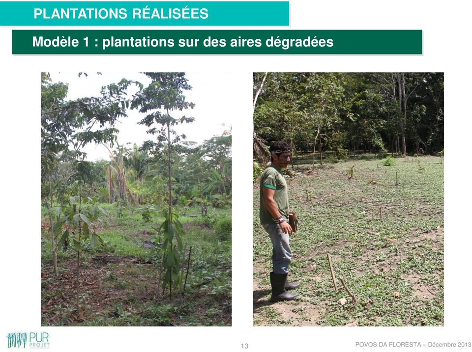 1 : plantations