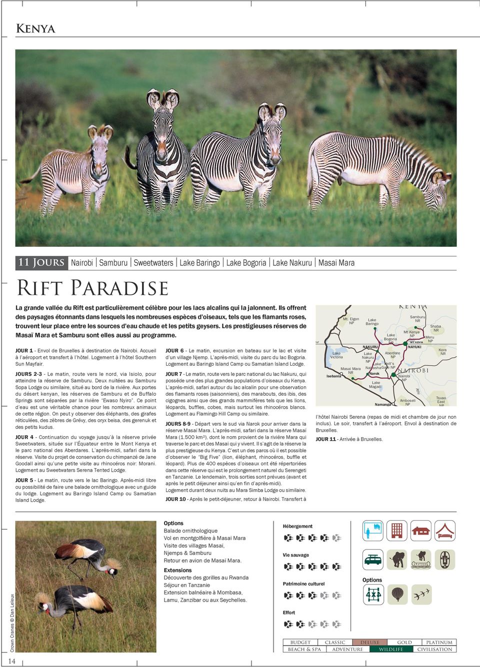 Les prestigieuses réserves de Masaï Mara et sont elles aussi au programme. JOUR 1 - Envol de Bruxelles à destination de. Accueil à l aéroport et transfert à l hôtel.