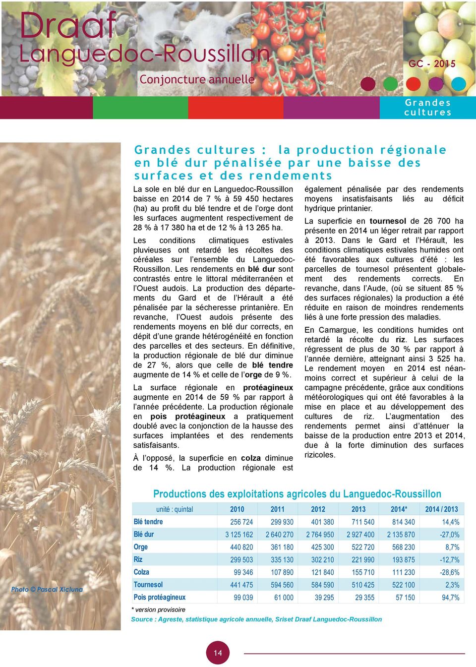 Les conditions climatiques estivales pluvieuses ont retardé les récoltes des céréales sur l ensemble du Languedoc- Roussillon.