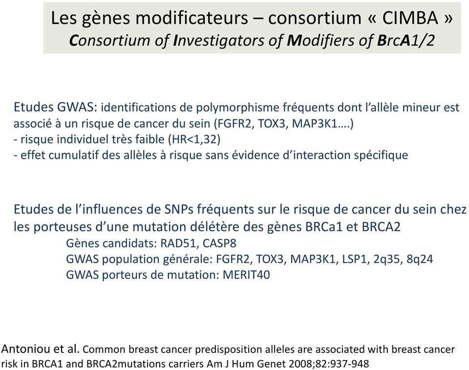 ) - risque individuel très faible (HR<1,32) - effet cumulatif des allèles à risque sans évidence d interaction spécifique Etudes de l influences de SNPsfréquents sur le risque de cancer du sein