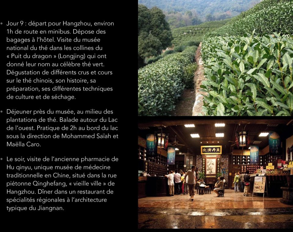 Dégustation de différents crus et cours sur le thé chinois, son histoire, sa préparation, ses différentes techniques de culture et de séchage.