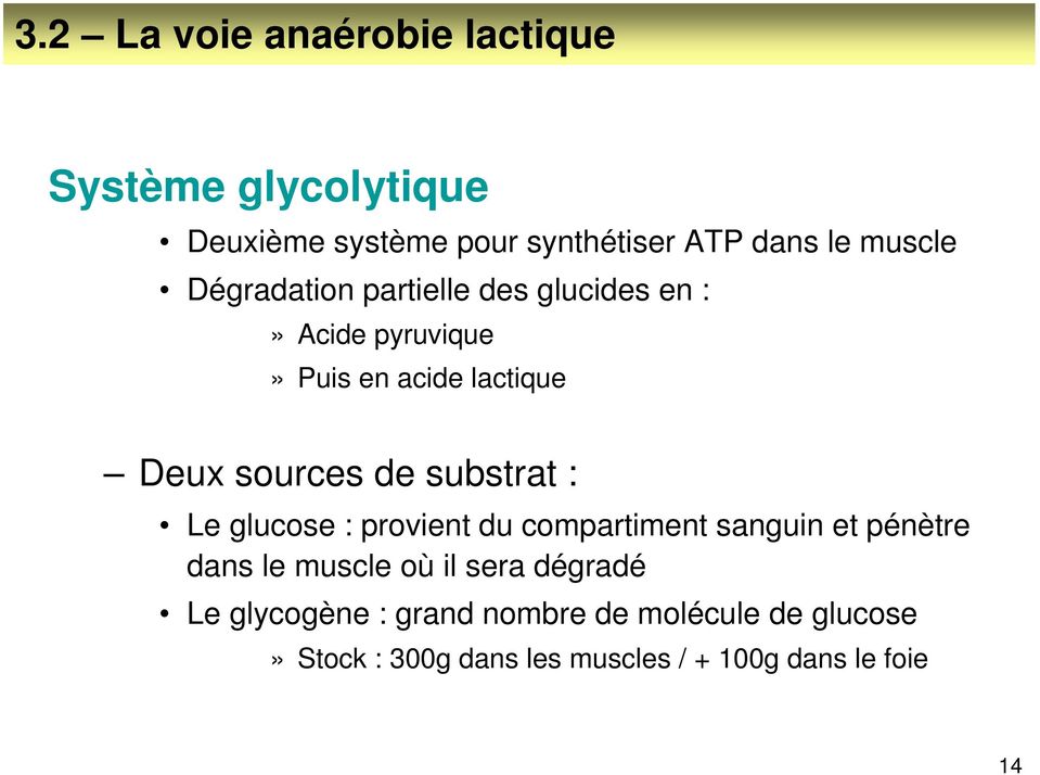 de substrat : Le glucose : provient du compartiment sanguin et pénètre dans le muscle où il sera