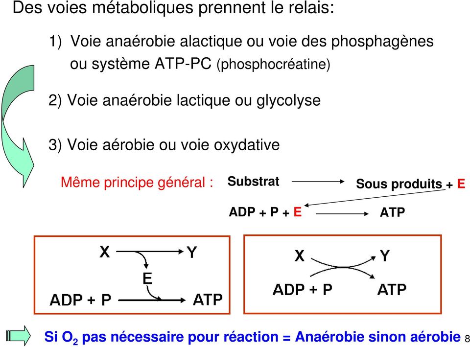 glycolyse 3) Voie aérobie ou voie oxydative Même principe général : Substrat ADP +