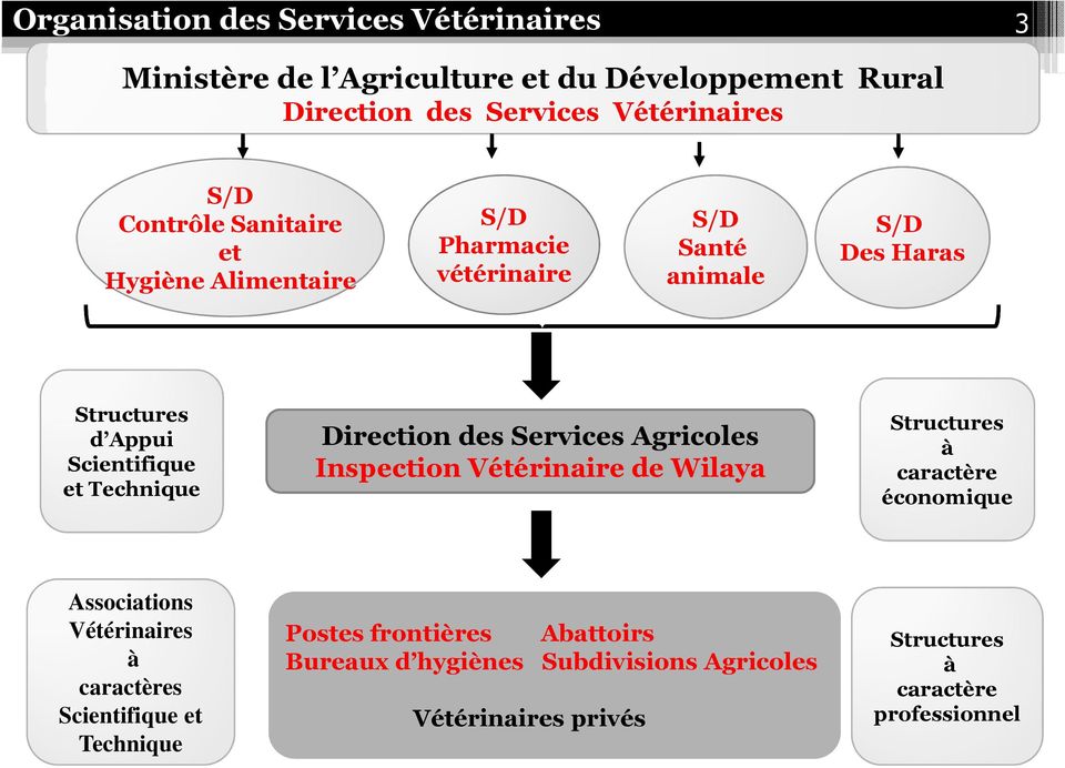 Direction des Services Agricoles Inspection Vétérinaire de Wilaya Structures à caractère économique Associations Vétérinaires à caractères