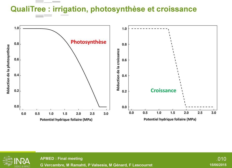 croissance Photosynthèse Croissance Potentiel