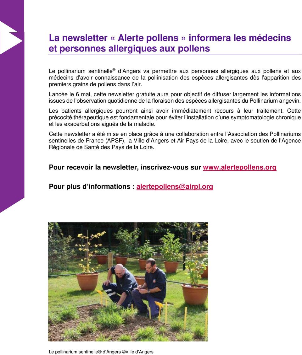 Lancée le 6 mai, cette newsletter gratuite aura pour objectif de diffuser largement les informations issues de l observation quotidienne de la floraison des espèces allergisantes du Pollinarium