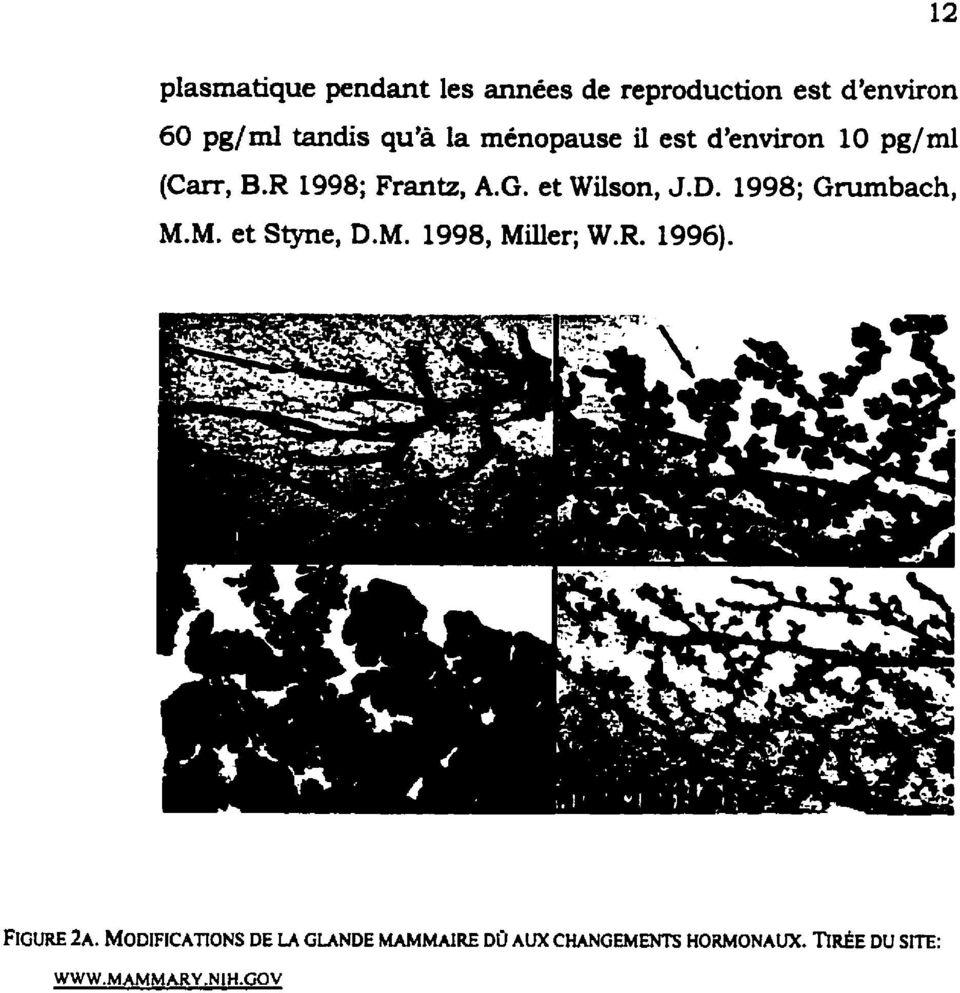 1998; Gnimbach, M.M. et Styne, D.M. 1998, Miller; W.R. 1996). FIGURE h.