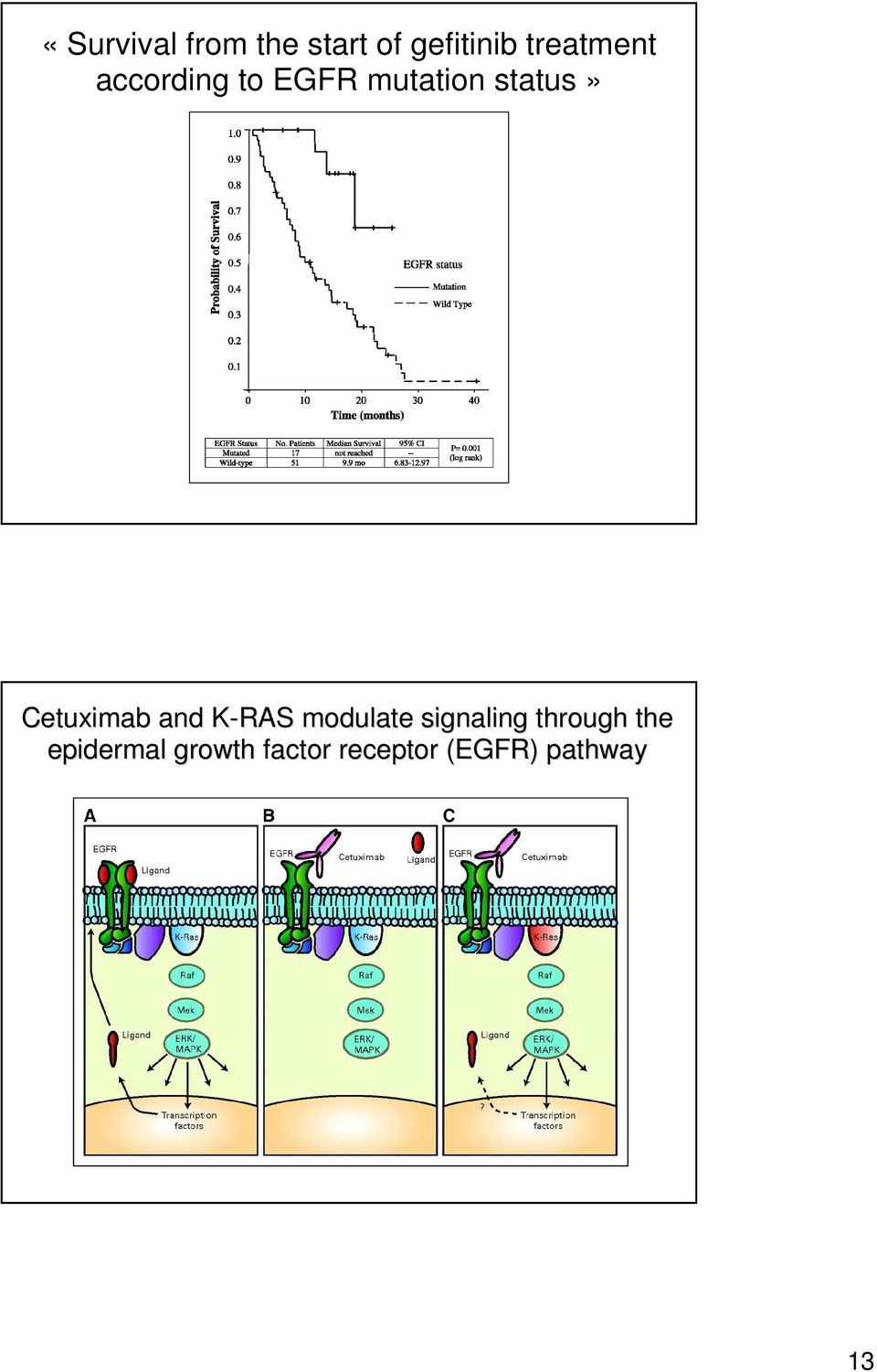 Cetuximab and K-RAS K modulate signaling
